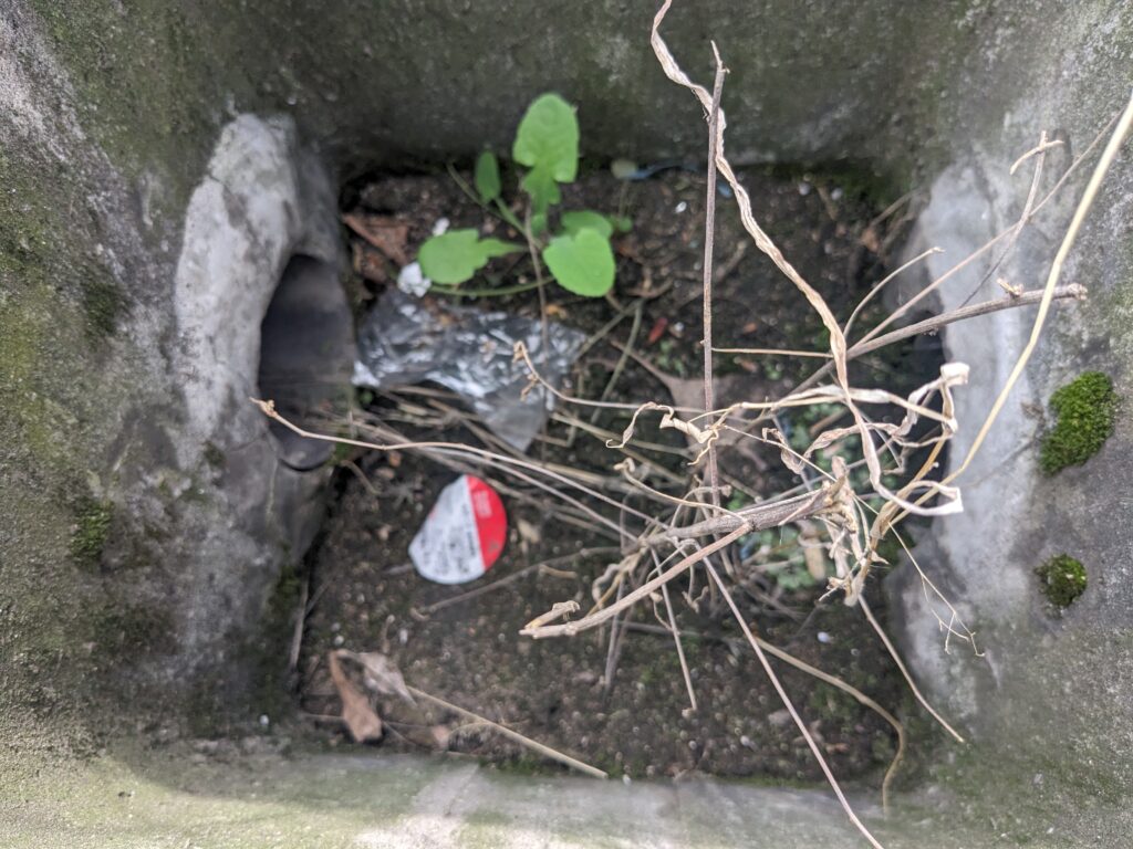 画像に alt 属性が指定されていません。ファイル名: PXL_20240319_042220443-1024x768.jpg