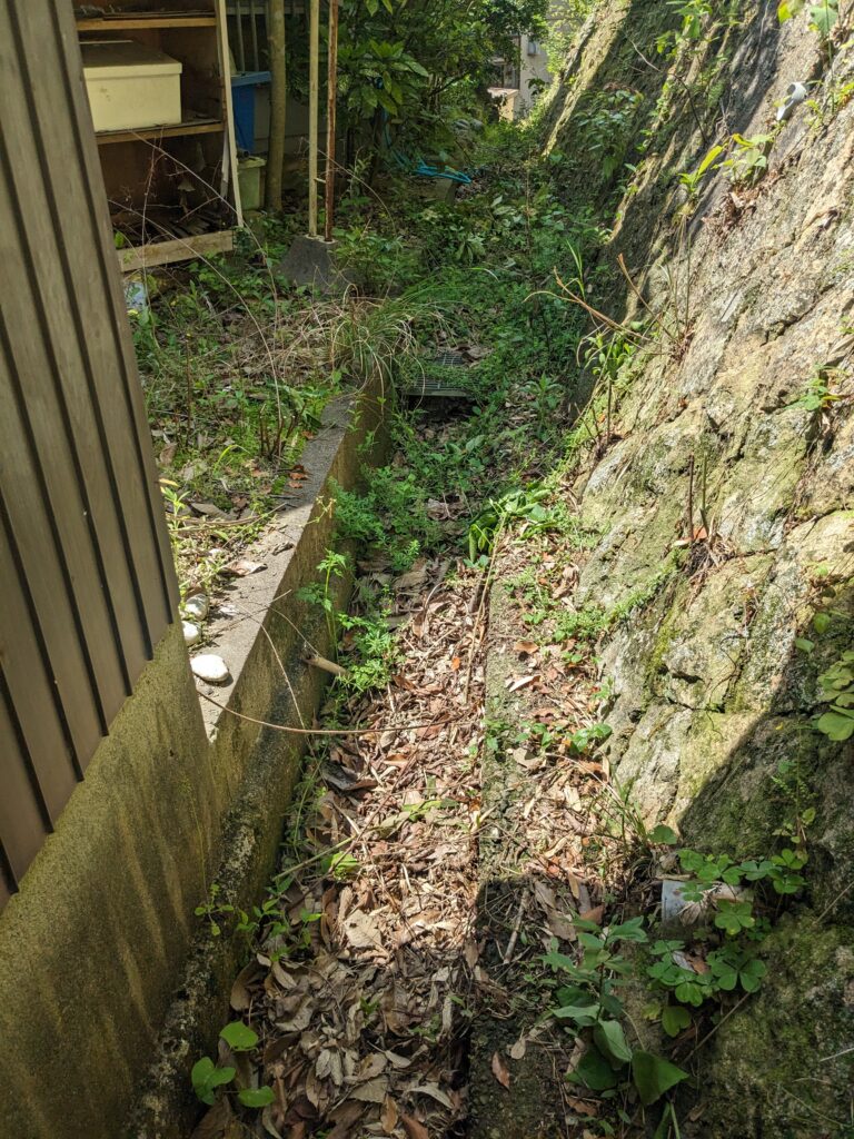 画像に alt 属性が指定されていません。ファイル名: PXL_20240428_014442859-768x1024.jpg